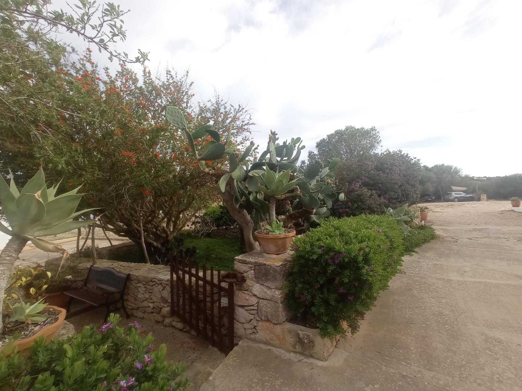 Casa Rural Es Cap De Barbaria San Francisco Javier Exterior photo